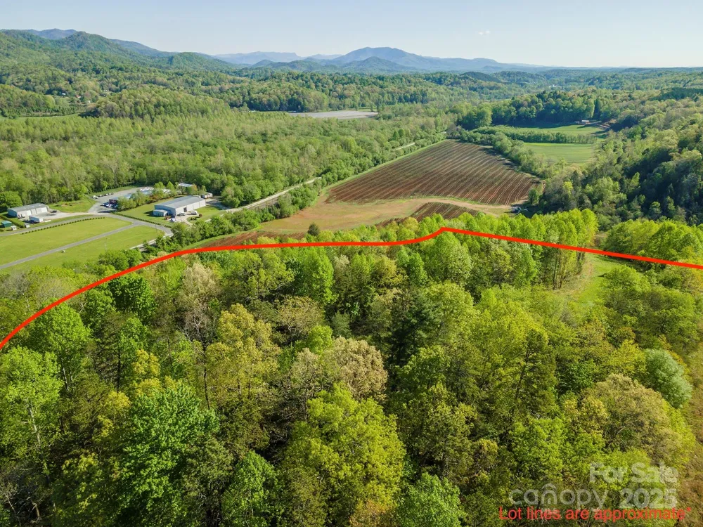 000 Thousand Oaks Drive Old Fort, NC 28752