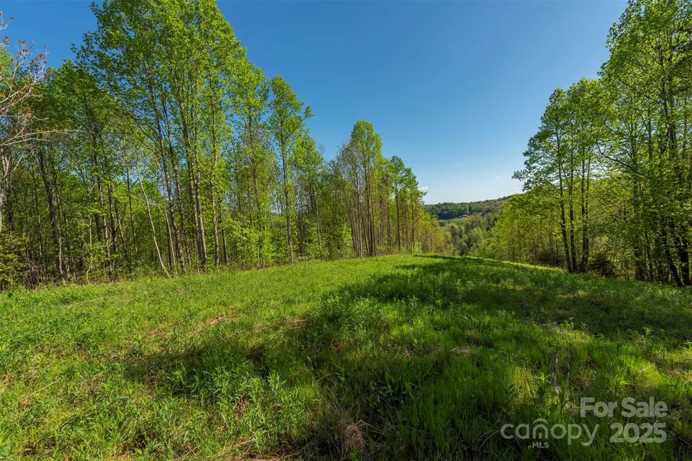 000 Thousand Oaks Drive Old Fort, NC 28752