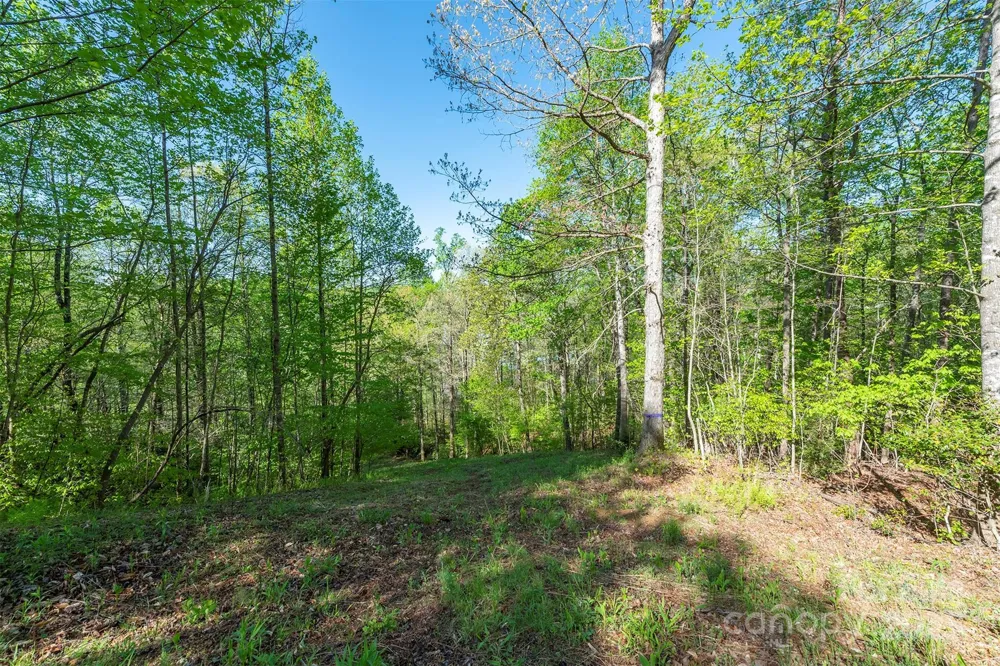 000 Thousand Oaks Drive Old Fort, NC 28752