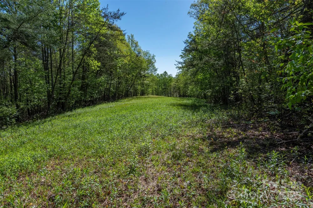 000 Thousand Oaks Drive Old Fort, NC 28752