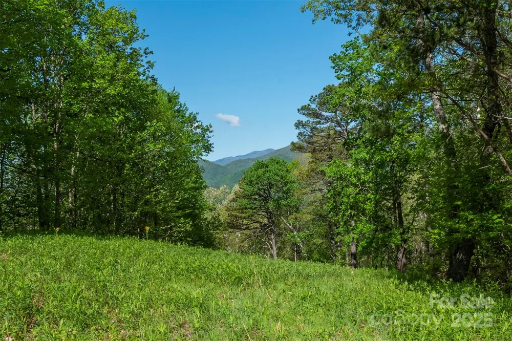 000 Thousand Oaks Drive Old Fort, NC 28752