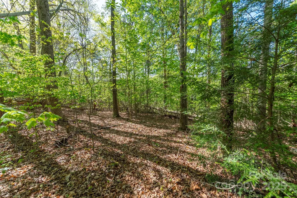 000 Thousand Oaks Drive Old Fort, NC 28752
