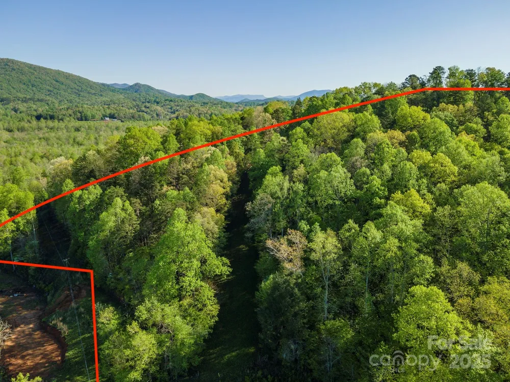 000 Thousand Oaks Drive Old Fort, NC 28752