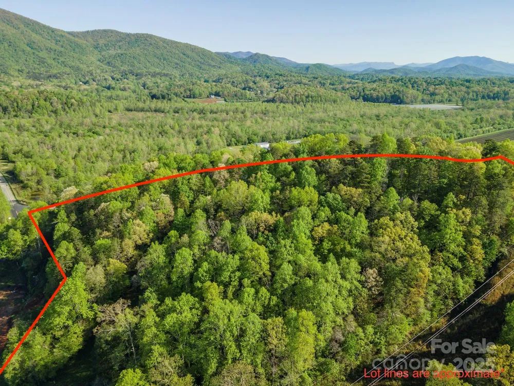 000 Thousand Oaks Drive Old Fort, NC 28752