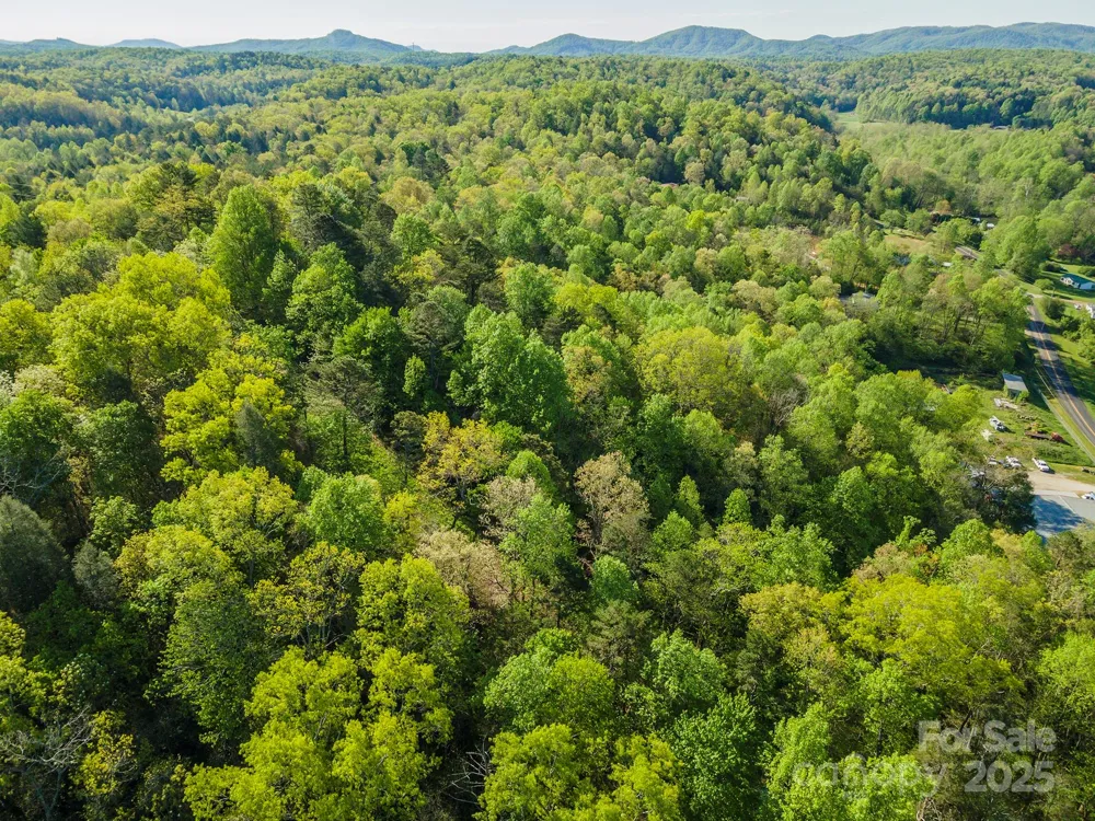000 Thousand Oaks Drive Old Fort, NC 28752