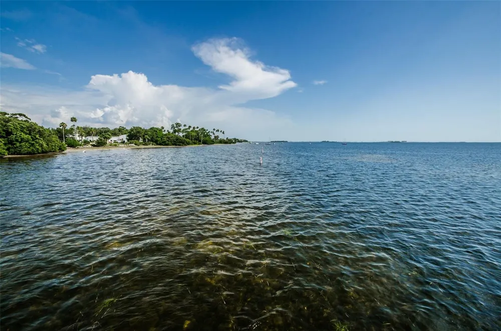 394 GEORGIA AVENUE Crystal Beach, FL 34681