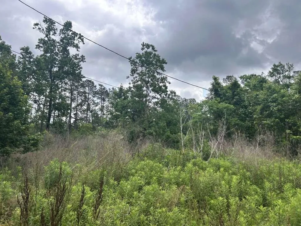 195 Greathouse Street Vidor, TX 77662