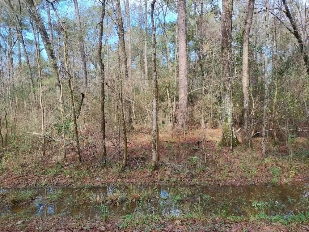 570 E Sunset Drive Vidor, TX 77662