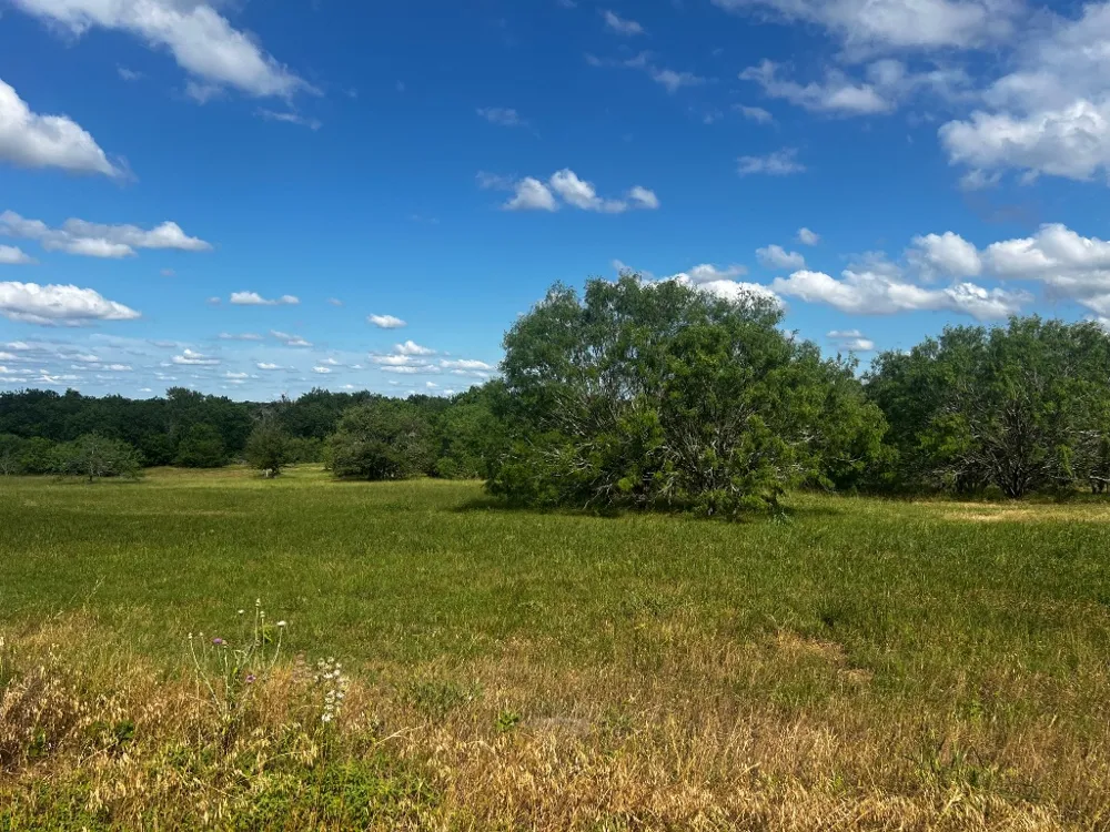 5 High Meadow Court East Schulenburg, TX 78956
