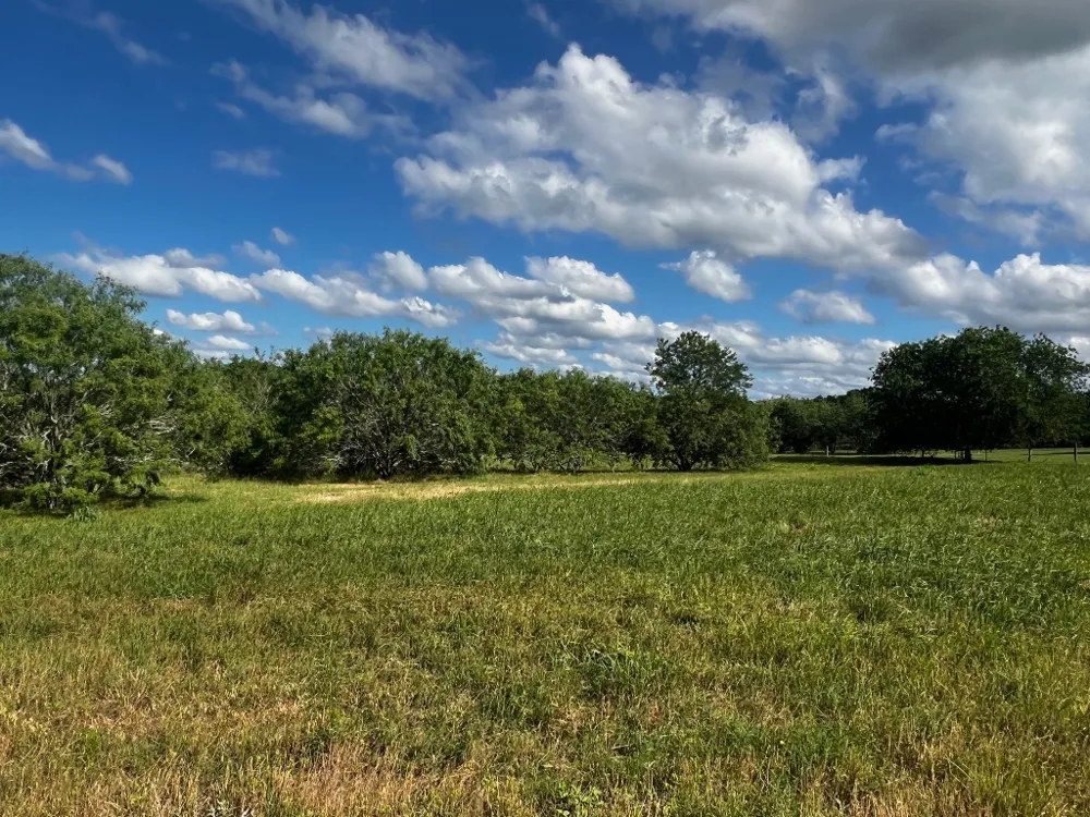 5 High Meadow Court East Schulenburg, TX 78956