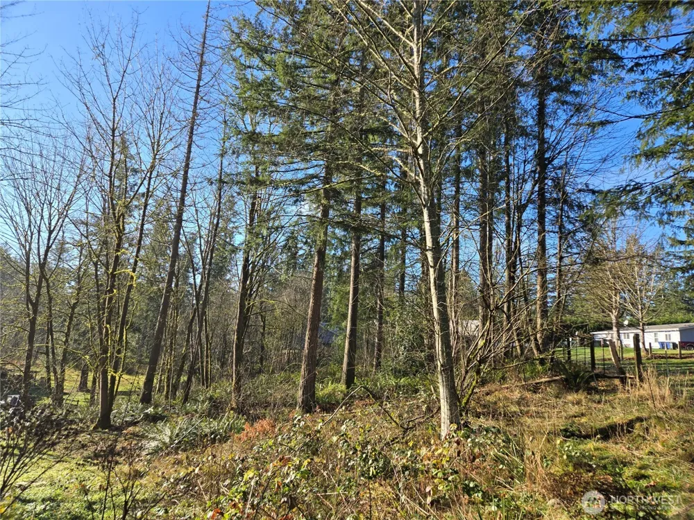 29445 SE 371st Street Enumclaw, WA 98022