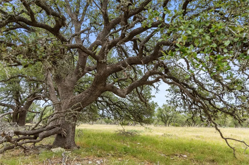 3049 Reservation Road Road Harper, TX 78631
