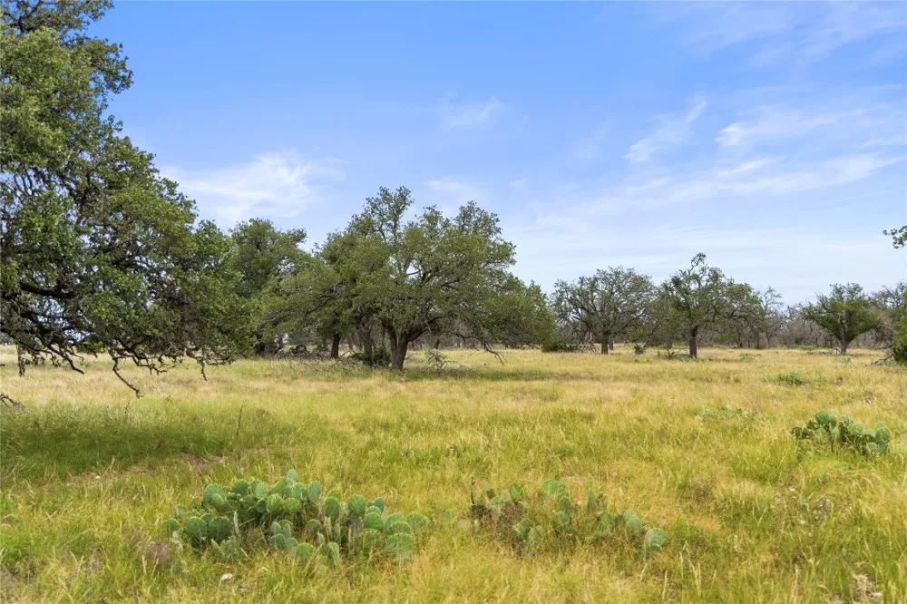 3049 Reservation Road Road Harper, TX 78631