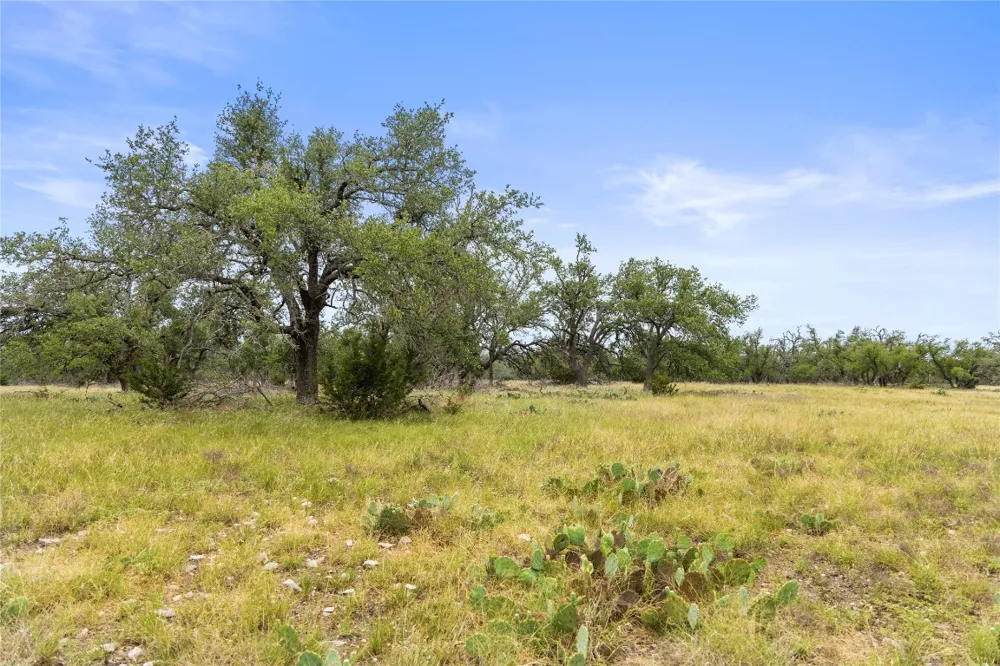 3049 Reservation Road Road Harper, TX 78631