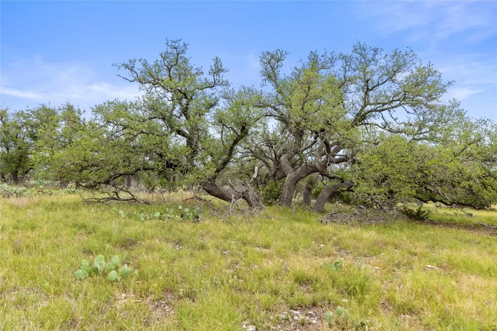 3049 Reservation Road Road Harper, TX 78631