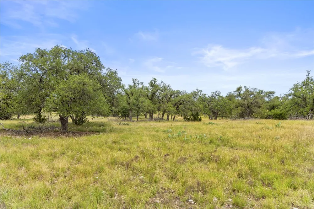 3049 Reservation Road Road Harper, TX 78631