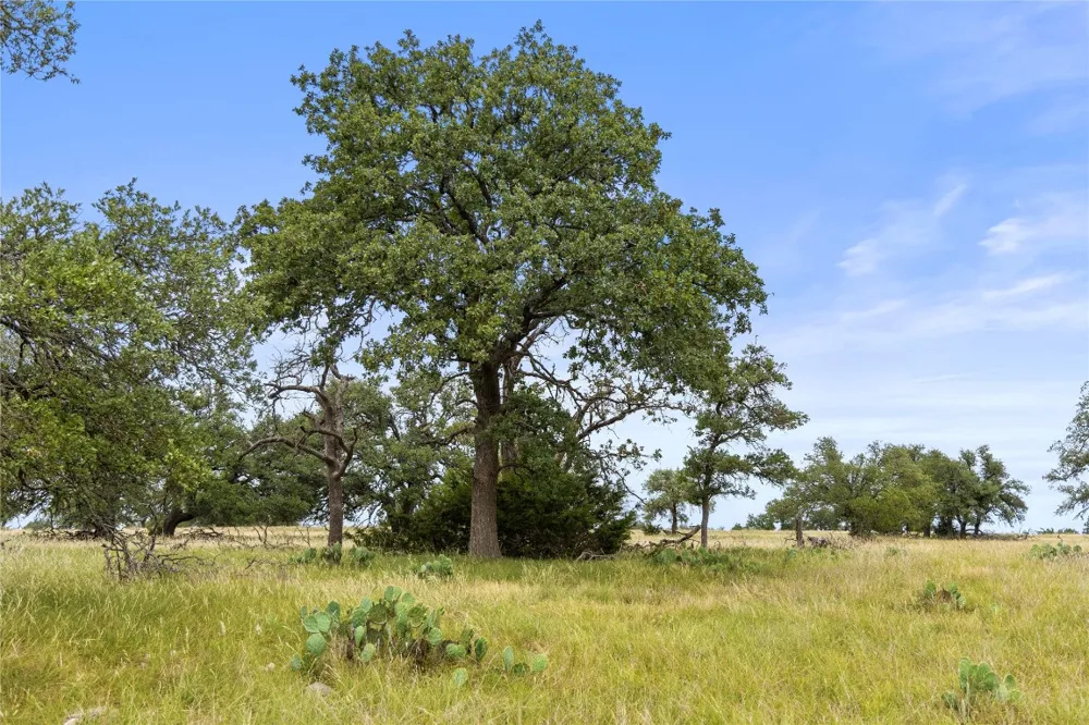 3049 Reservation Road Road Harper, TX 78631