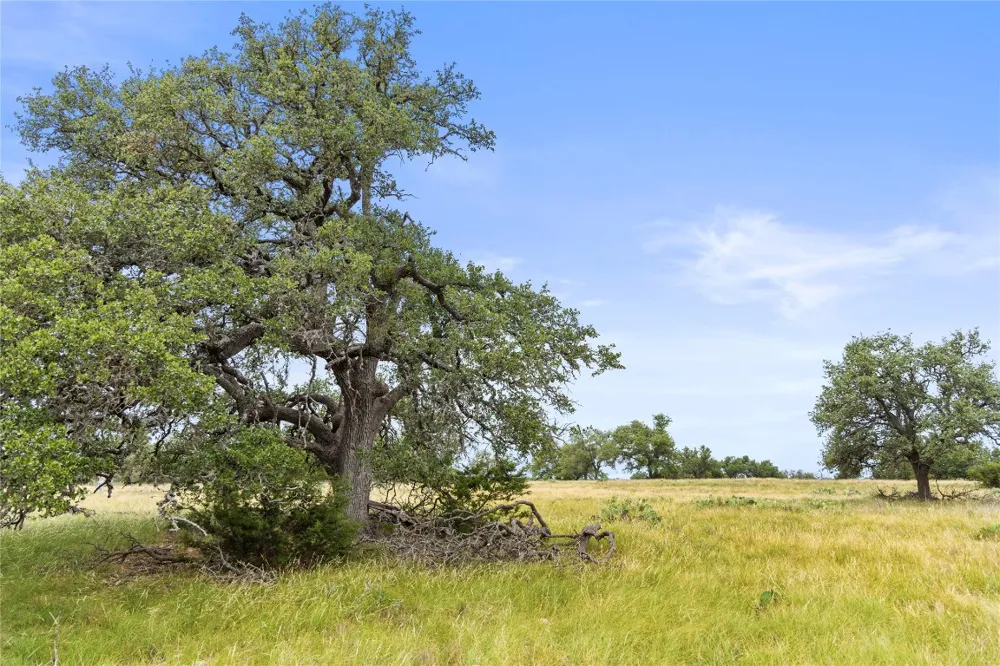 3049 Reservation Road Road Harper, TX 78631