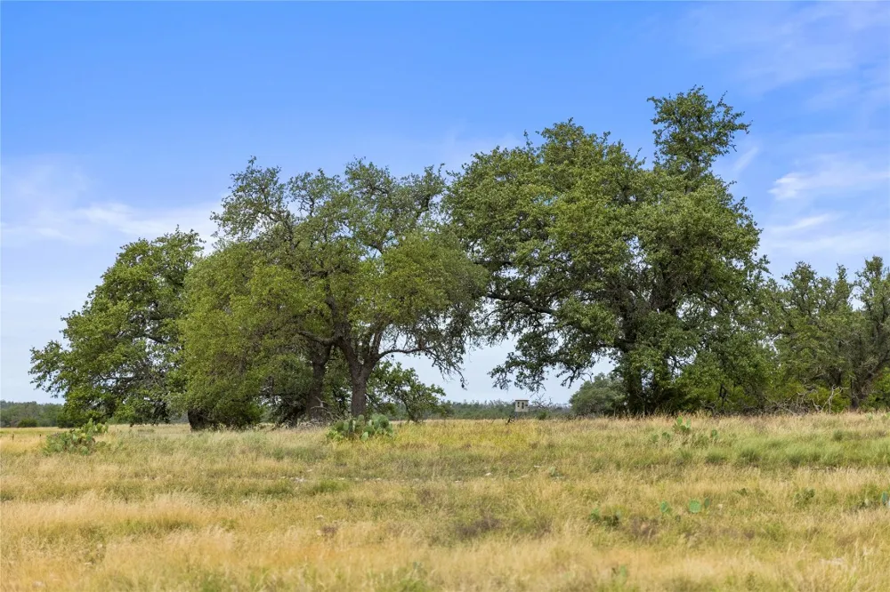 3049 Reservation Road Road Harper, TX 78631