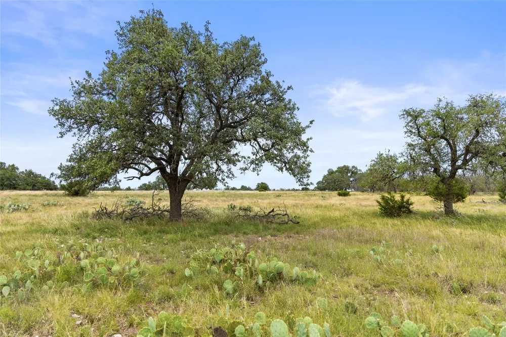 3049 Reservation Road Road Harper, TX 78631