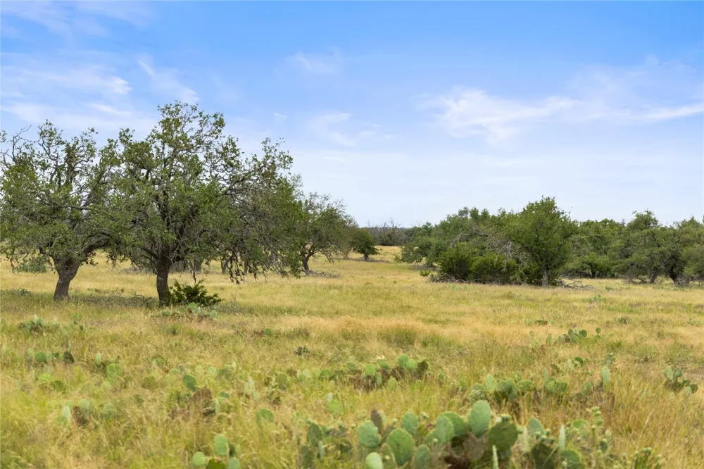 3049 Reservation Road Road Harper, TX 78631