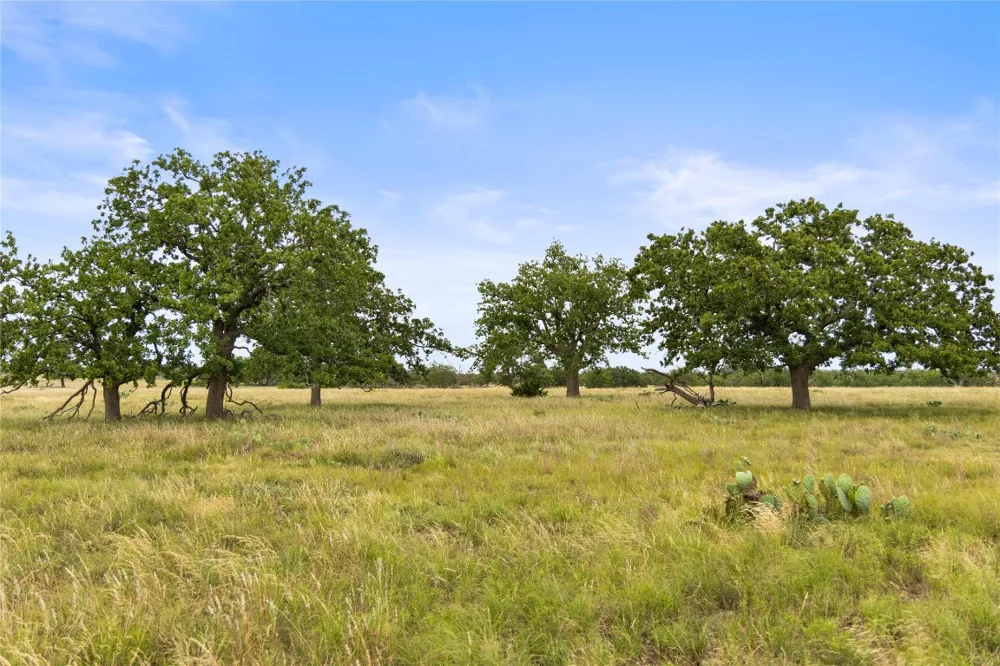 3049 Reservation Road Road Harper, TX 78631