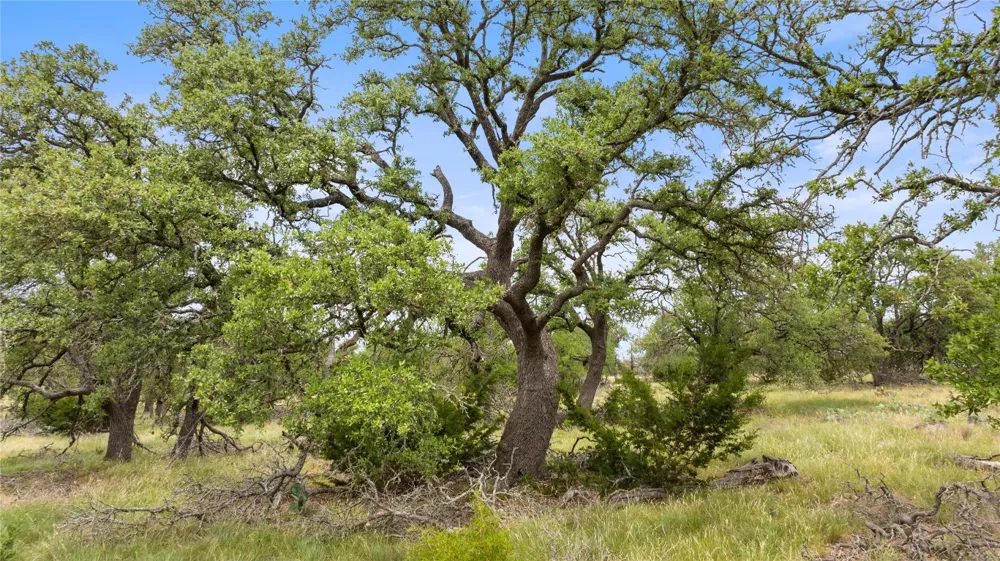 3049 Reservation Road Road Harper, TX 78631
