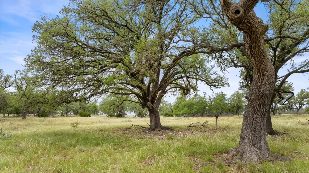 3049 Reservation Road Road Harper, TX 78631