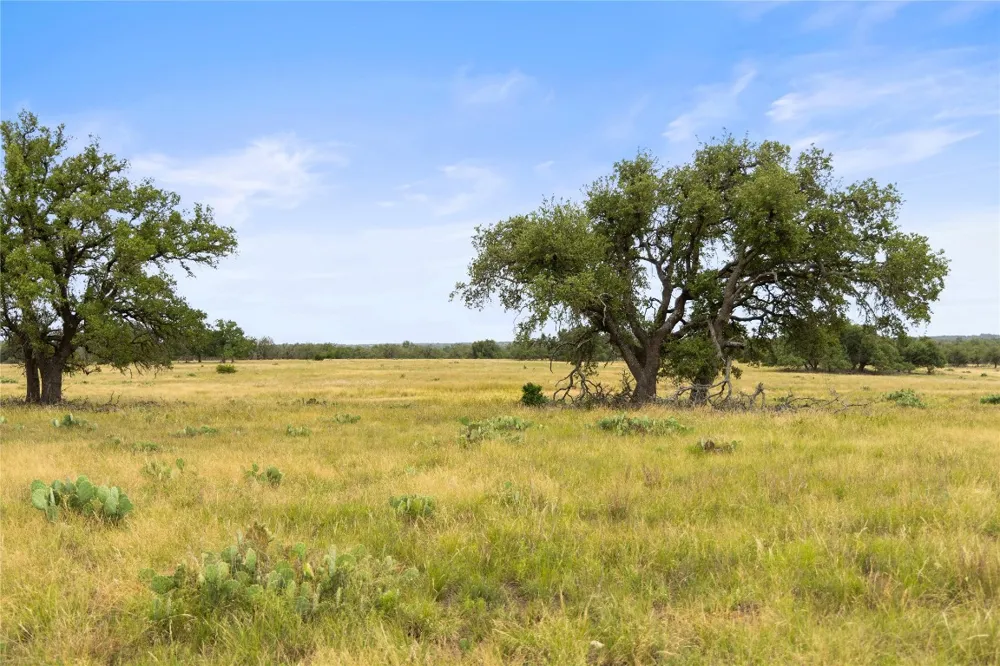 3049 Reservation Road Road Harper, TX 78631