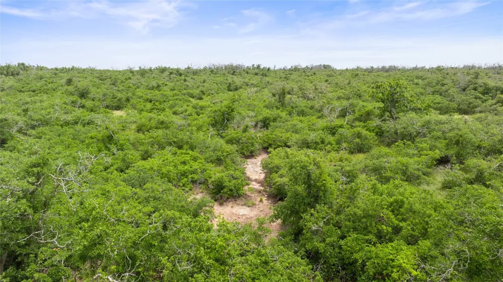 3049 Reservation Road Road Harper, TX 78631