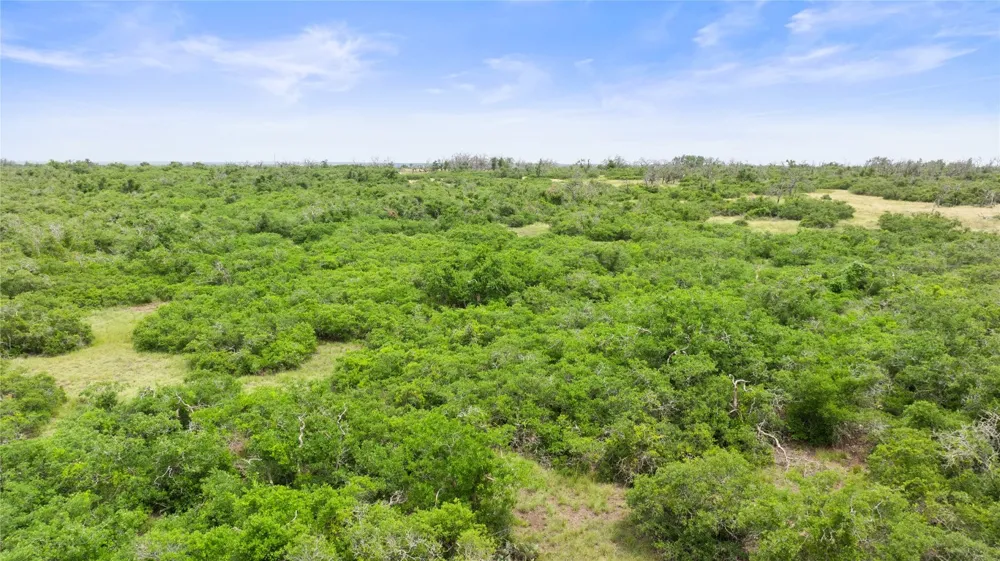 3049 Reservation Road Road Harper, TX 78631