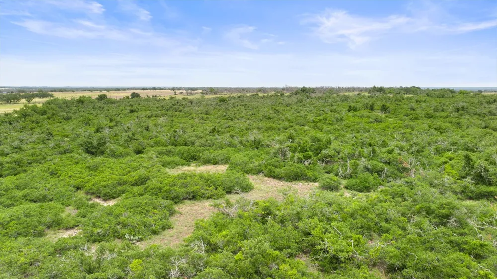 3049 Reservation Road Road Harper, TX 78631