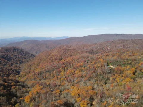 3837 & 3689 Plott Balsam Road