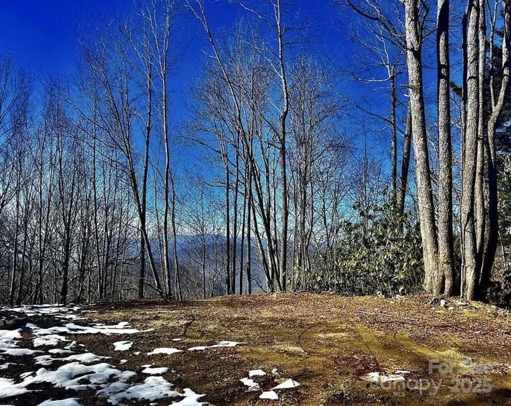 3837 & 3689 Plott Balsam Road Maggie Valley, NC 28751