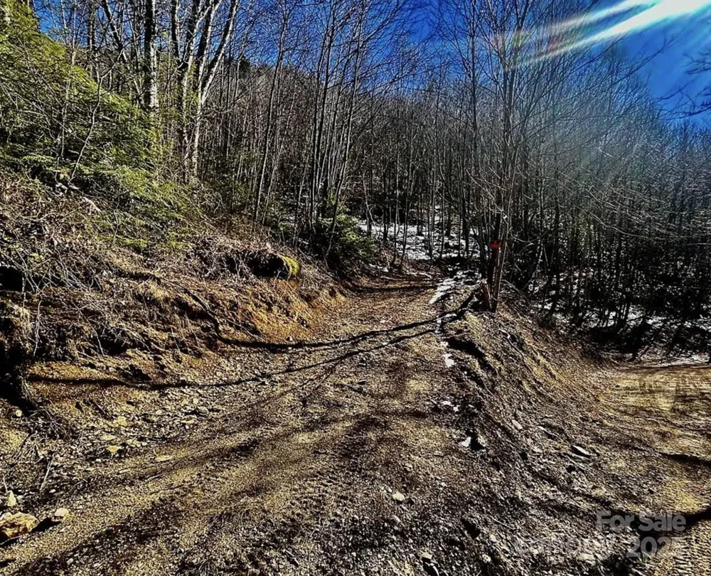 3837 & 3689 Plott Balsam Road Maggie Valley, NC 28751