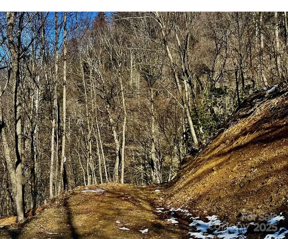 3837 & 3689 Plott Balsam Road Maggie Valley, NC 28751