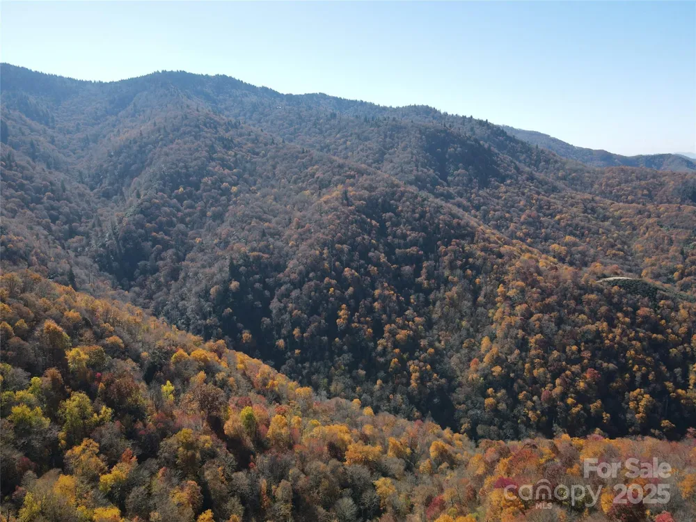 3837 & 3689 Plott Balsam Road Maggie Valley, NC 28751