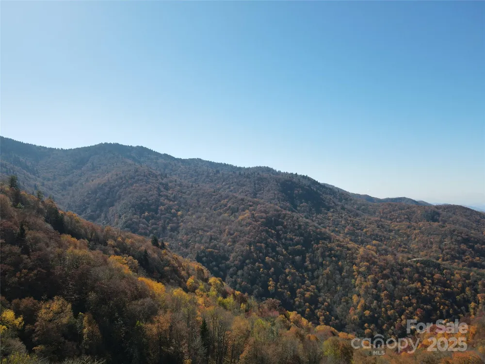 3837 & 3689 Plott Balsam Road Maggie Valley, NC 28751