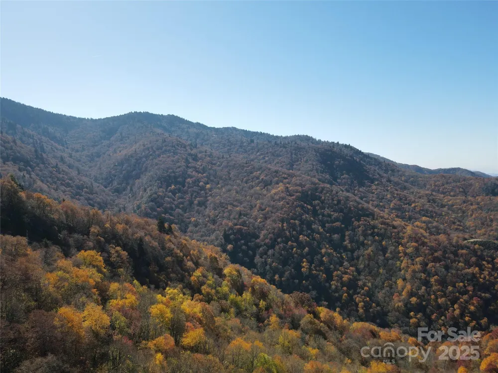 3837 & 3689 Plott Balsam Road Maggie Valley, NC 28751