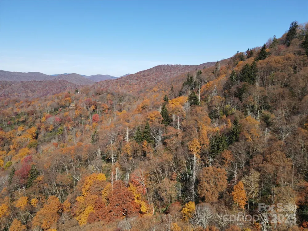3837 & 3689 Plott Balsam Road Maggie Valley, NC 28751