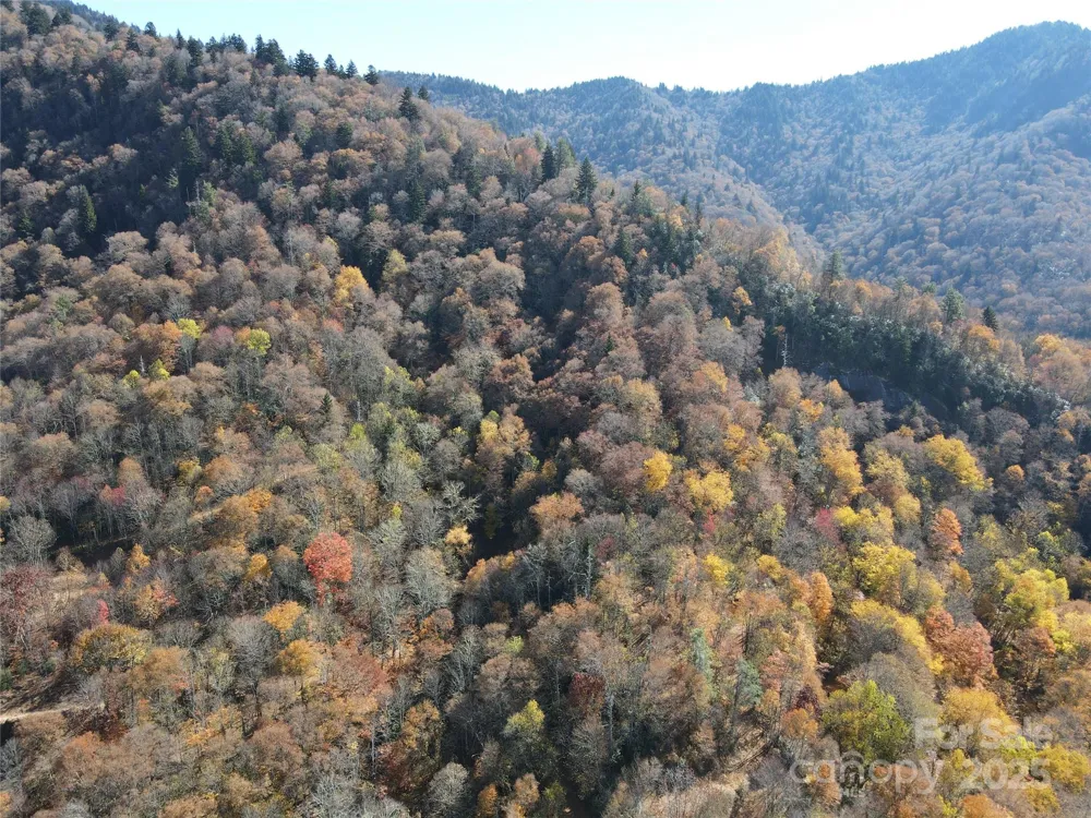 3837 & 3689 Plott Balsam Road Maggie Valley, NC 28751