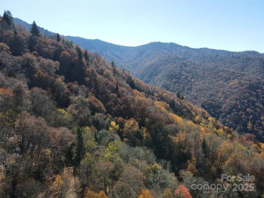 3837 & 3689 Plott Balsam Road Maggie Valley, NC 28751
