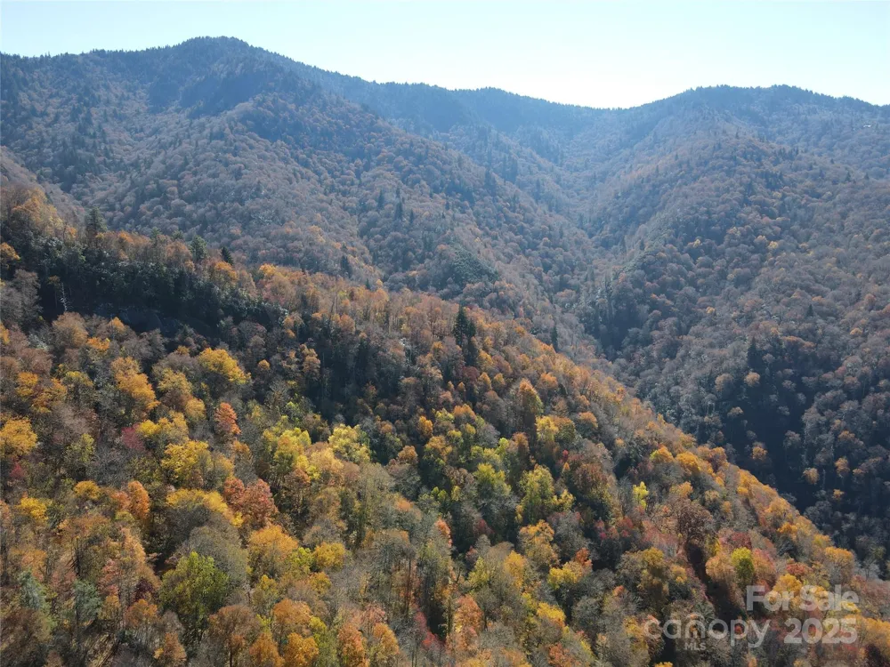 3837 & 3689 Plott Balsam Road Maggie Valley, NC 28751