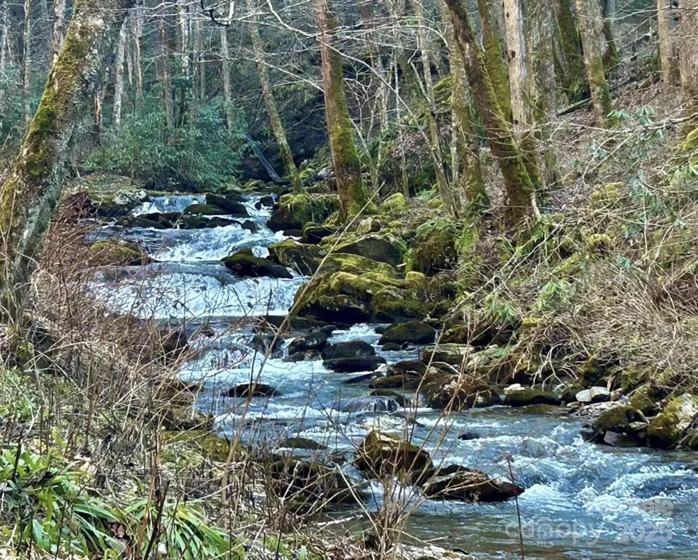 3837 & 3689 Plott Balsam Road Maggie Valley, NC 28751
