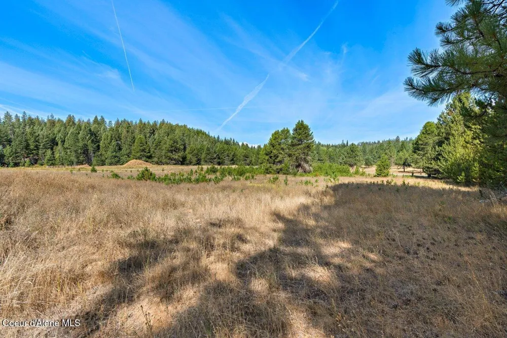 95 Twin Rivers Road Athol, ID 83801