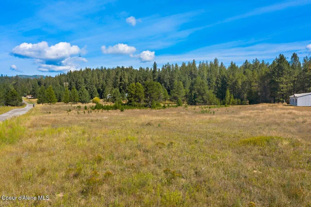 95 Twin Rivers Road Athol, ID 83801