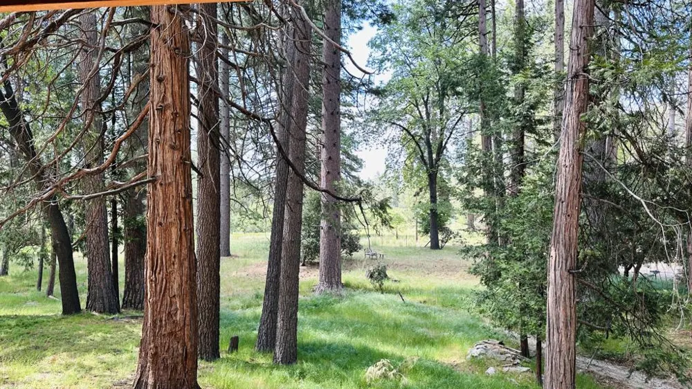 53341 Sherman Drive Idyllwild, CA 92549