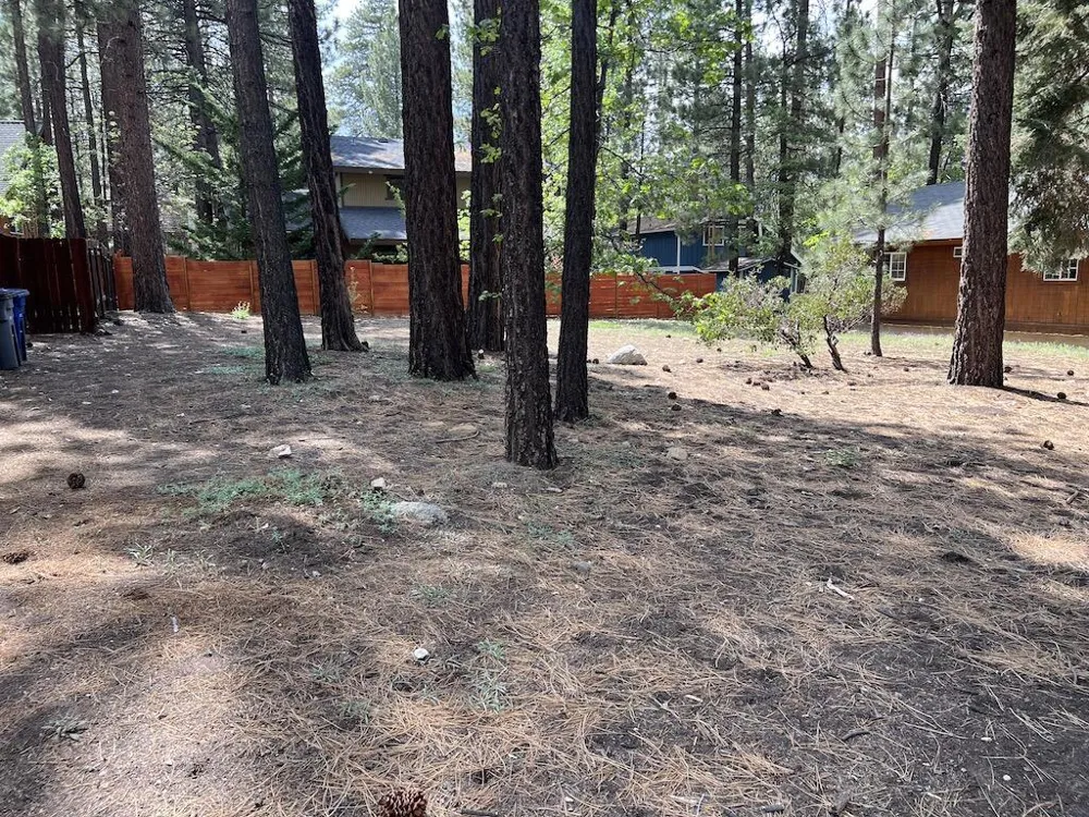 Summit Boulevard Big Bear, CA 92315