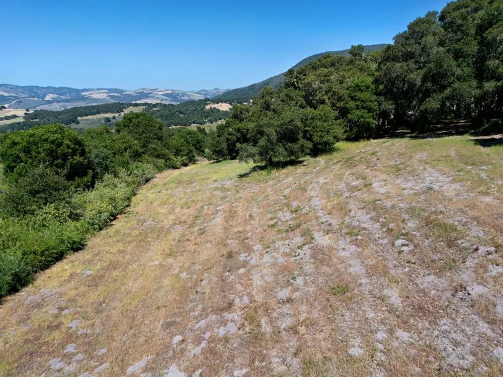 4 Holding Field Run Carmel, CA 93923