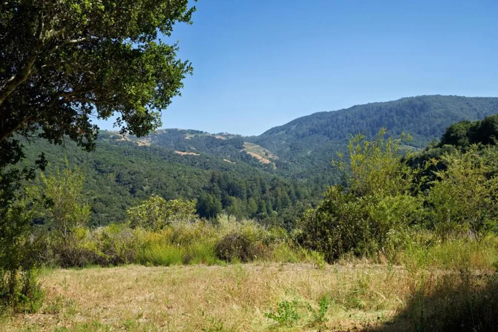 4 Holding Field Run Carmel, CA 93923